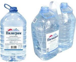 Вода питьевая Пилигрим негазированная ПЭТ 5 л (2 штук в упаковке)