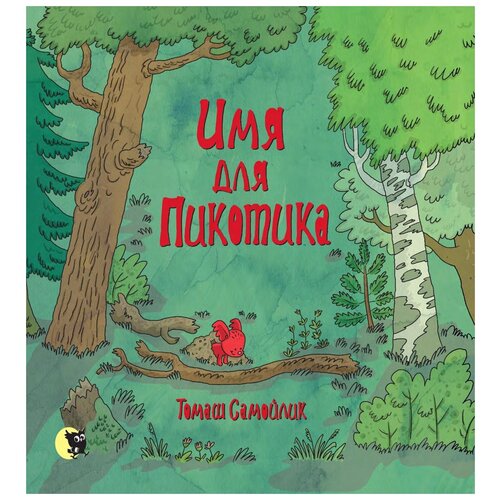 фото Имя для пикотика открытая книга