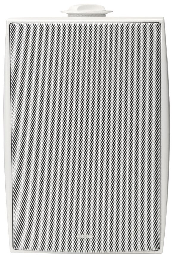 Акустика всепогодная трансляционная Tannoy DVS 6t White