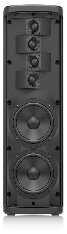 Turbosound IP300 Активная акустическая система