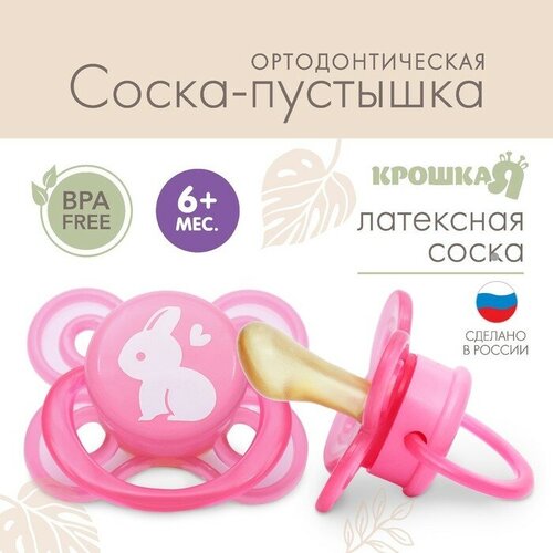 Соска-пустышка ортодонтическая, от 6 мес, латекс, Зайчик соска joovy boob nipples x cut 6 мес