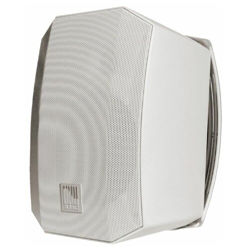 AMC VIVA 5 белый 2-х полосный полнодиапазонный громкоговоритель мониторного типа 25Вт100В 150-20 000Г 1078000₽