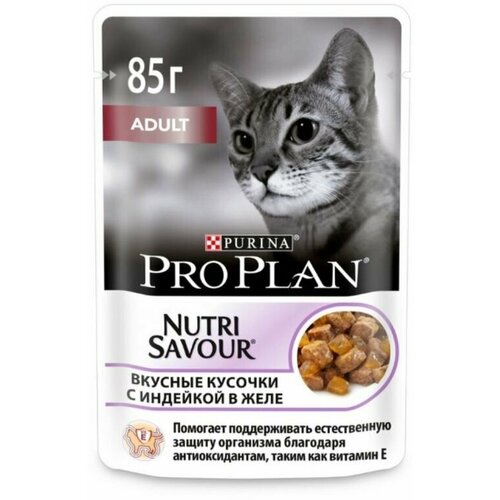 Консервированный корм для кошек Pro Plan Cat ADULT желе с кусочками индейки, 85 гр, 6 штук