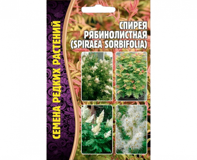 Семена Спиреи Рябинолистной (Spiraea sobifolia) (002 г)