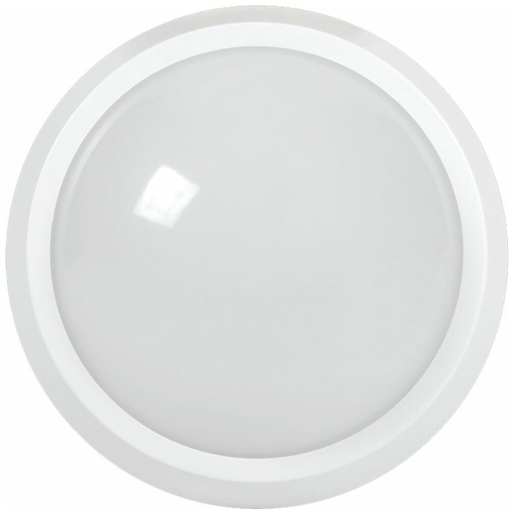 Светильник светодиодный IEK ДПО 5051, круг белый, 18 Вт, 6500 К, IP65
