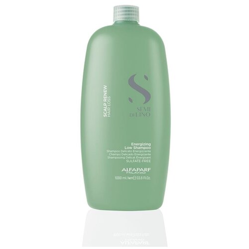 Шампунь энергетический против выпадения волос SDL SCALP ENERGIZING LOW SHAMPOO, 1000 мл