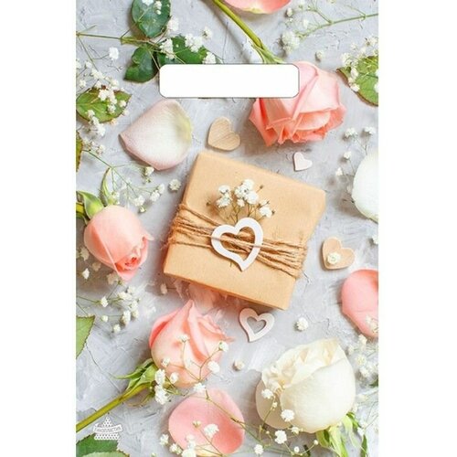 Полиэтиленовый пакет Подарочек с вырубной усиленной ручкой - 20 х 30 см 127₽