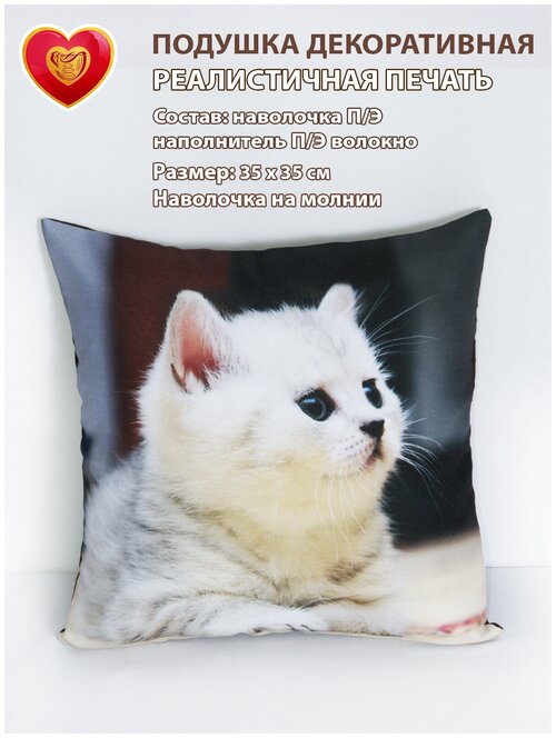 Подушка декоративная на диван 35х35 в подарок с фотопечатью кот ламбкин