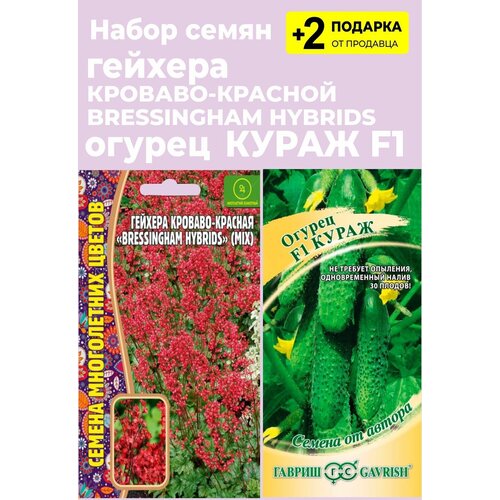 Семена Гейхера кроваво-красная Bressingham Hybrids, 0,02г. + Огурец Кураж F1, 10 сем. + 2 Подарка