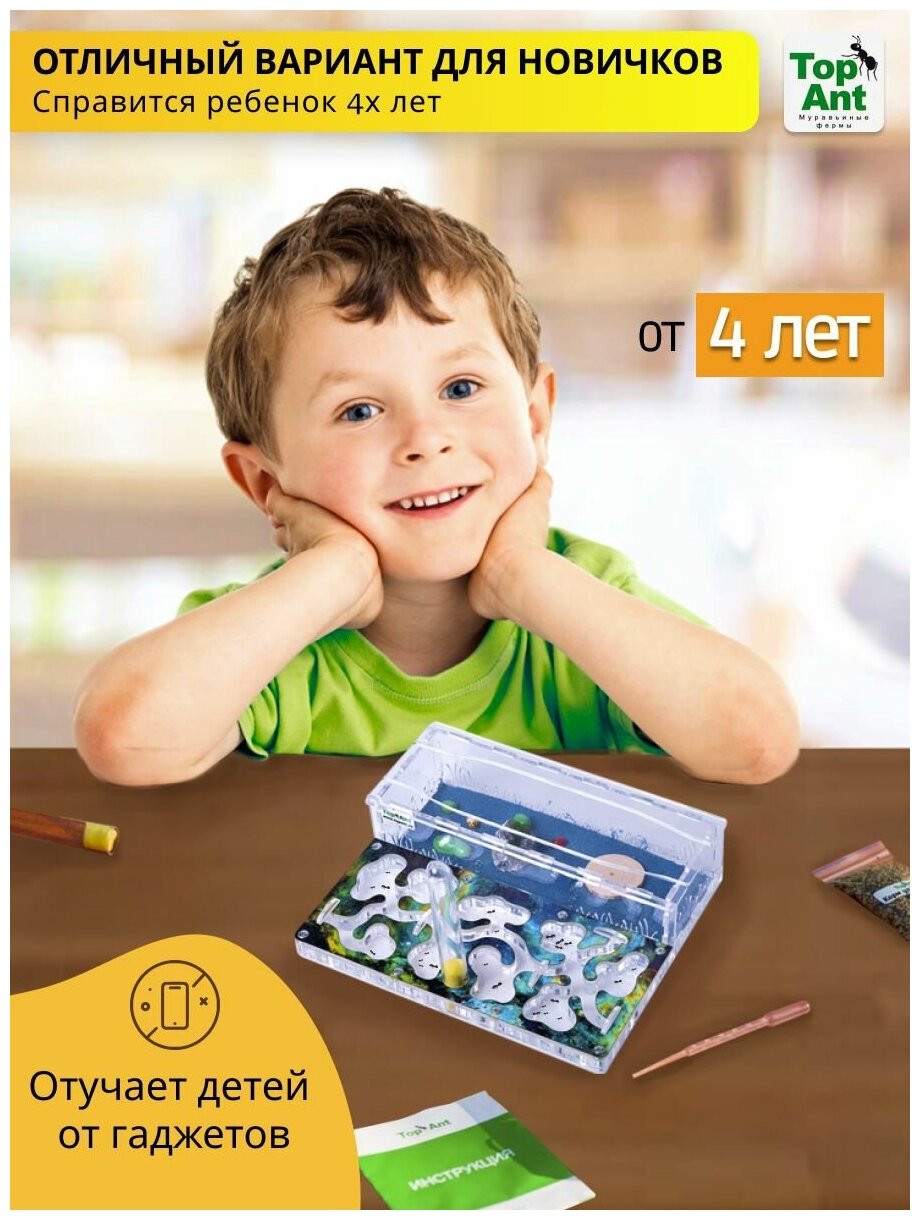 Стандартная муравьиная ферма максимальный комплект — фото 1