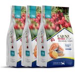 CARNI LIFE Sterilised лосось с апельс. и клюквой 1,5кг для стерилиз. кошек х 3шт. - изображение