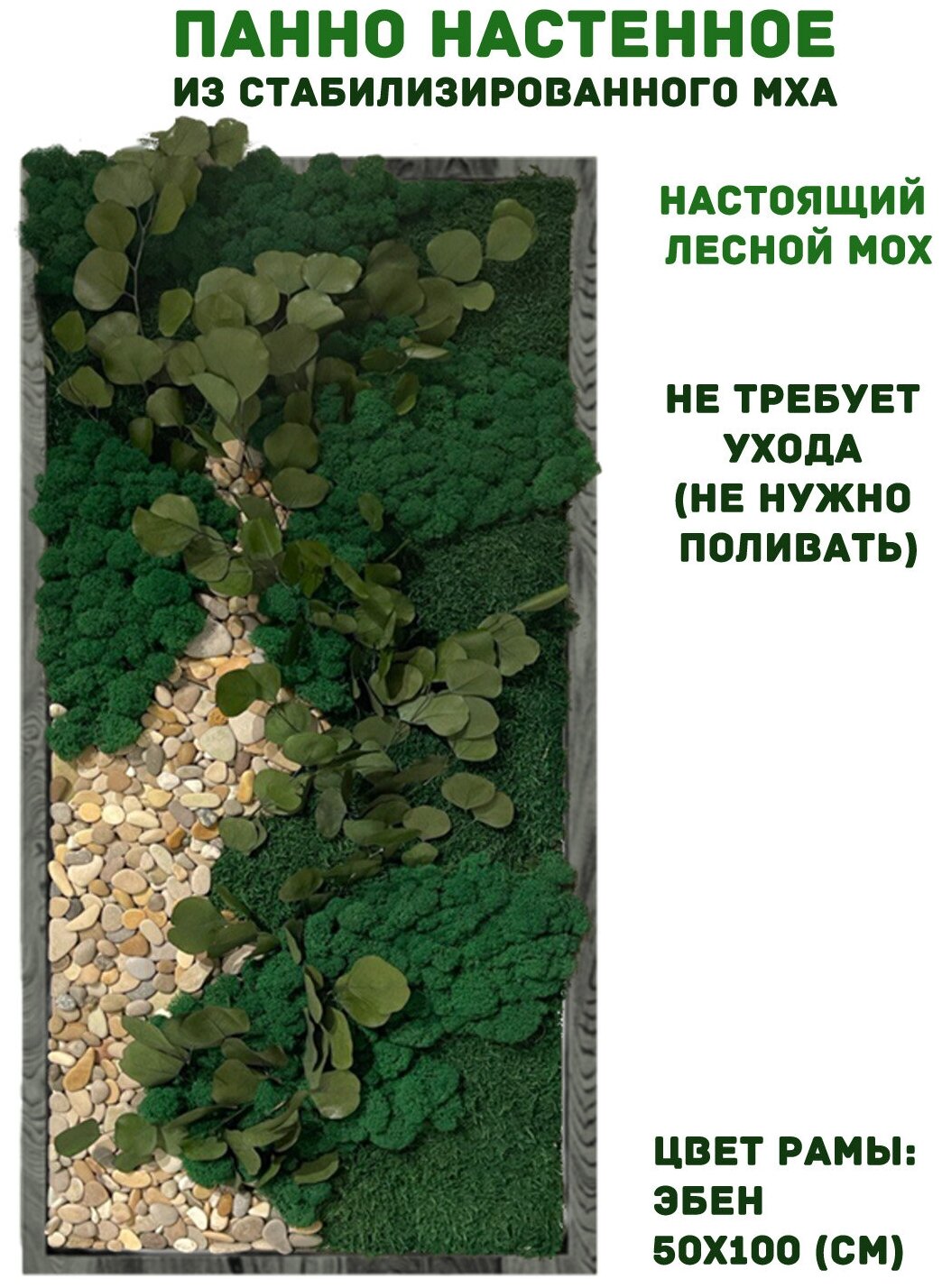 Панно из стабилизированно мха GardenGo в рамке цвета эбен, 50х100 см, цвет мха зеленый