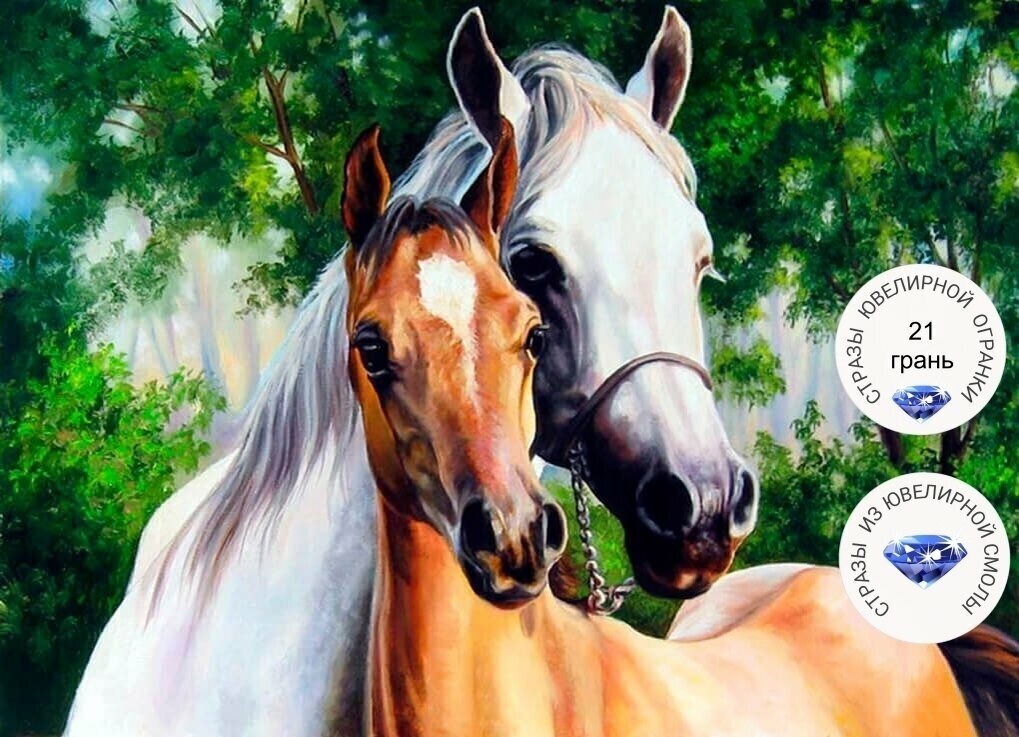 Алмазная мозаика на подрамнике 30х40 картина стразами Две лошади