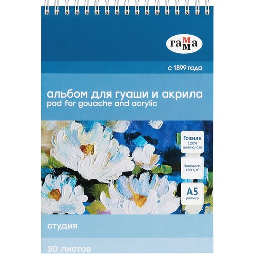 Комплект 2 шт, Альбом для гуаши и акрила, 30л, А5, на спирали Гамма Студия, 180г/м2 альбом для каллиграфии 60л 20 20 на спирали гамма студия 78г м2