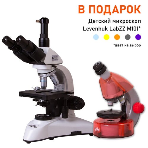 Микроскоп Levenhuk MED 25T, тринокулярный + Детский микроскоп Levenhuk LabZZ M101