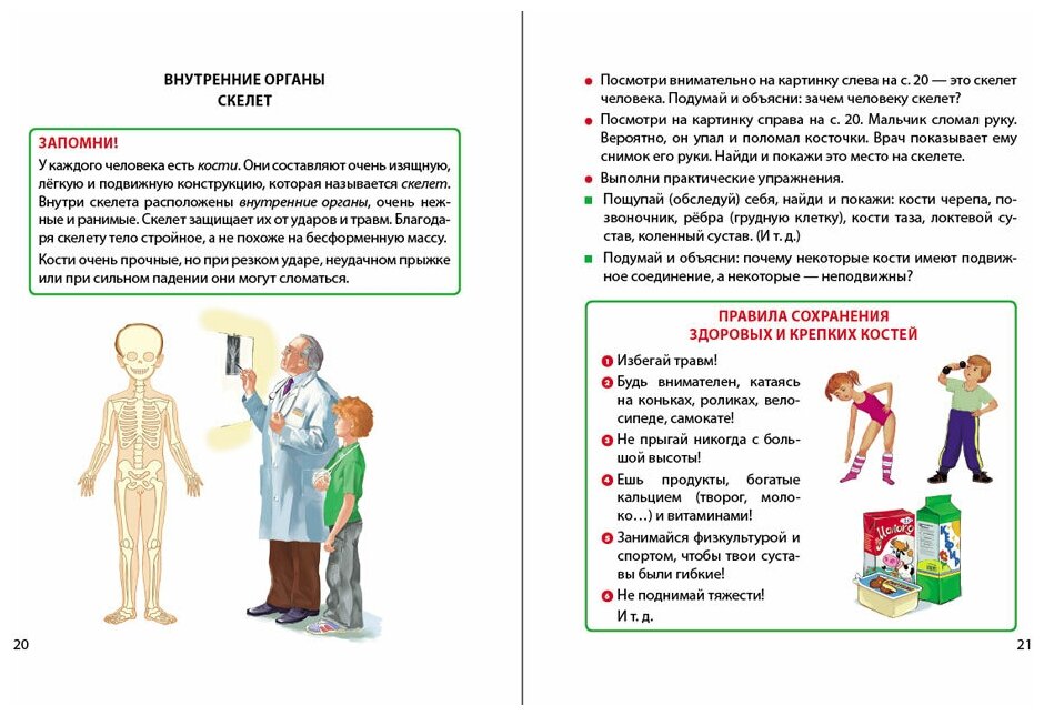 Я и моё тело. Части тела. Органы чувств. Внутренние органы - фото №3