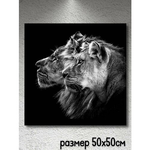 Картина на холсте интерьерная Лев и львица в гостиную, в прихожую, в спальню