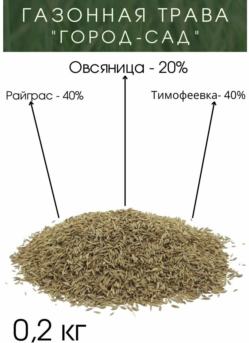 Газонная трава "Город-сад" 200 грамм