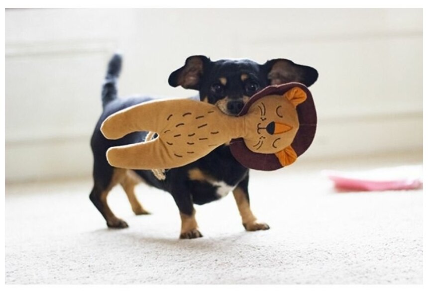 Эко-игрушка для собак мягкая ROSEWOOD "Львёнок", серая, 30x19x8см (Великобритания) - фотография № 9
