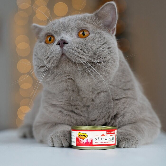 Мнямс консервы для кошек Тунец с креветками в нежном желе 70 г - фотография № 4