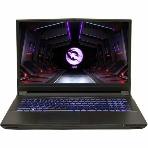 Ноутбук Hiper G16 Core i7 11700K 32Gb SSD1Tb NVIDIA GeForce RTX 3070 8Gb 161 IPS FHD 1920x1080 Windows 11 Professional BT Cam 21665200₽
