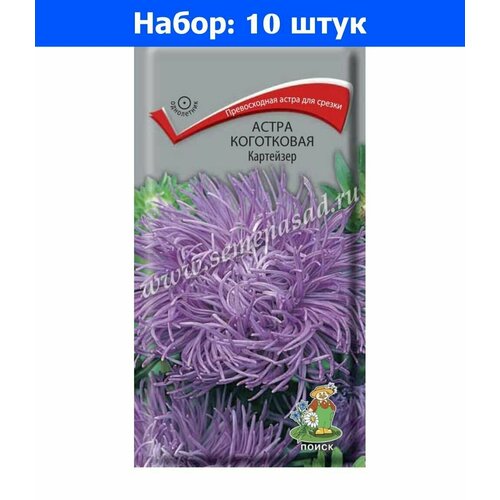 Астра Картейзер коготковая 0,3г Одн 75см (Поиск) - 10 пачек семян