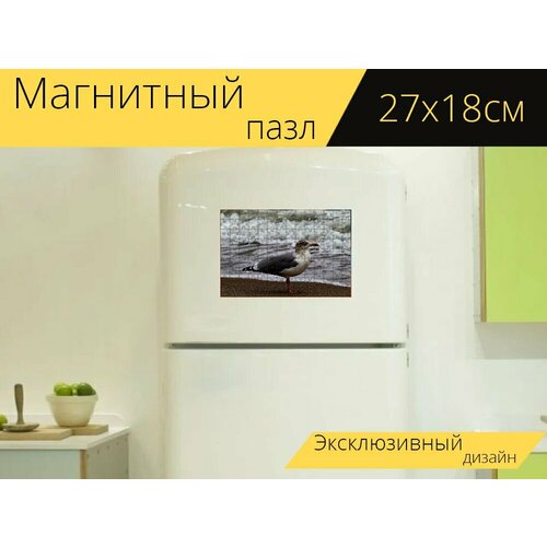 Магнитный пазл Черная чайка, чайка, птица на холодильник 27 x 18 см.