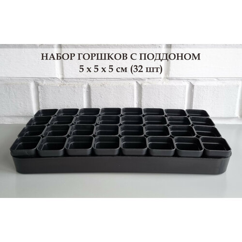 Черные горшки для суккулентов. Набор горшков с поддоном, 5 х 5 х 5 см, 32 шт