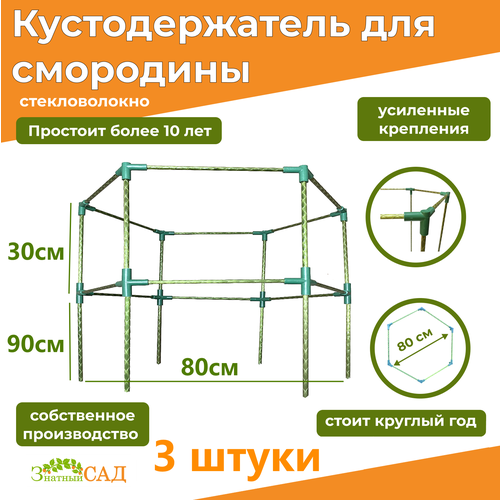 Кустодержатель для смородины/малины/ крыжовника/ пионов/ "Гранд 80"/ 2-х уровневый/стекловолокно/ 3 штуки зеленый