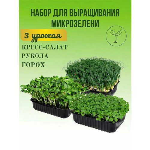 Набор для выращивания Микрозелени набор для выращивания микрозелени на джуте