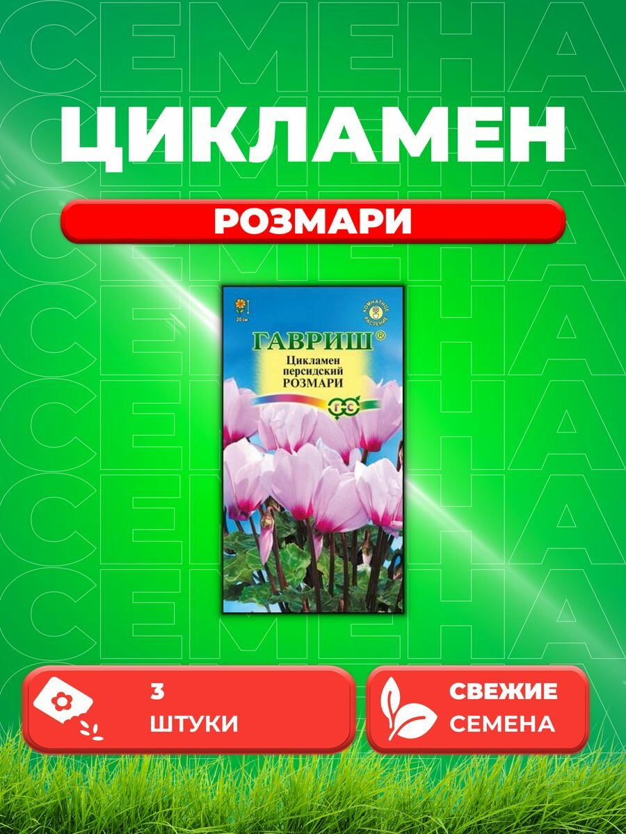 Цикламен Розмари персидский* 3 шт.