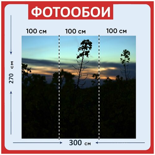 Фотообои Рапсовое поле желтый 300x270 см флизелиновыена стену 2970₽