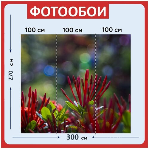 Фотообои Фиолетовый ночь небо 300x270 см флизелиновыена стену 3970₽