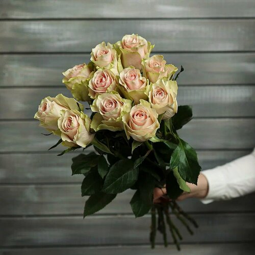 Изображение товара Букет живых цветов из 11 нежно-розовых роз с лентой Эквадор 60 см