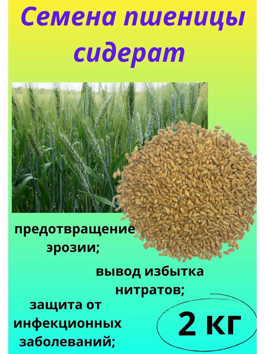 Сидераты семена пшеницы 2 кг