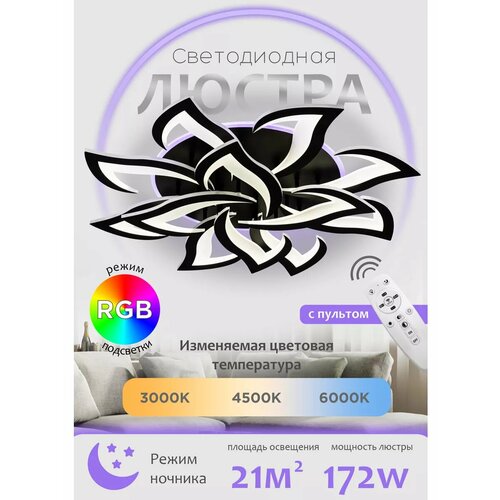 Потолочная светодиодная люстра cветильник ночник с пультом ДУ для кухни спальни гостиной YA2410-12 BK 9385₽