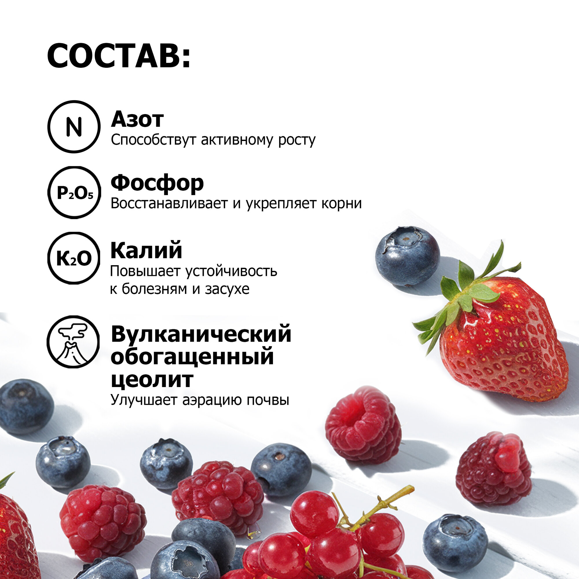 Изображение Питательная добавка Purshat 2 кг для здоровья и урожайности ягодных культур - выгодный объем