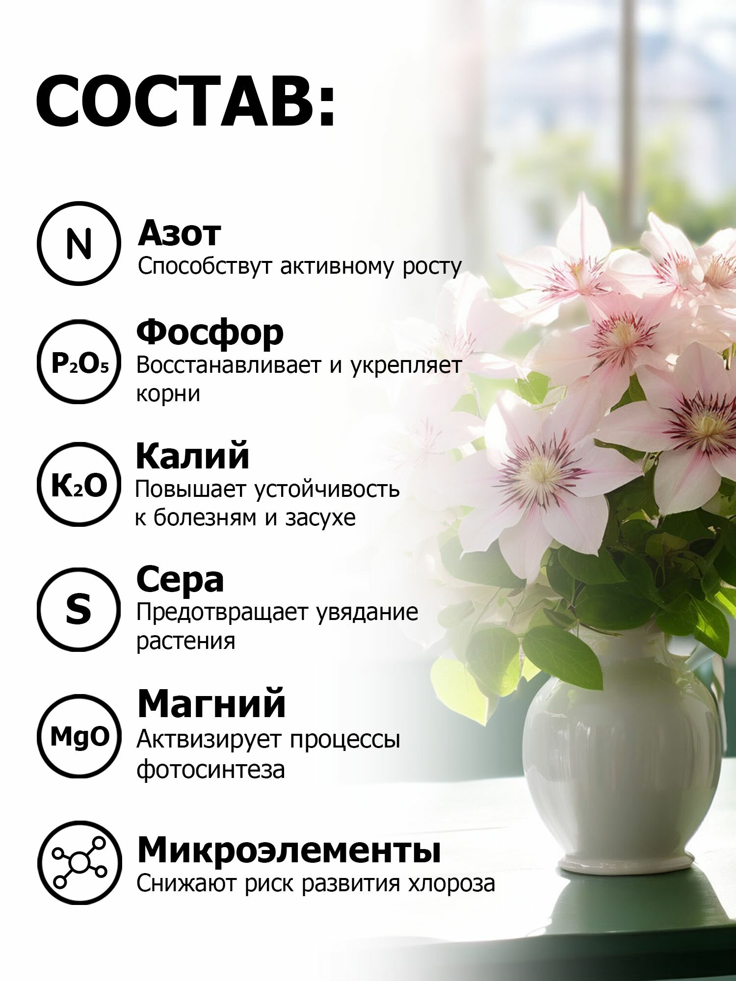 Удобрения Для Растений Водорастворимое удобрение Пуршат 1 кг для пышного цветения и здоровья клематисов - легко в использовании