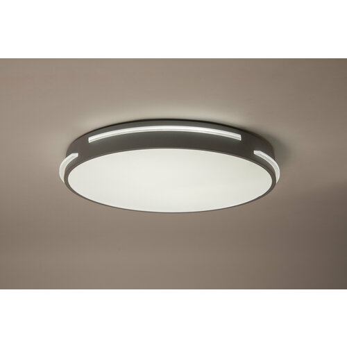 Потолочный светодиодный светильник Round_Solid-R500-60W 3000 - 6000К Grey