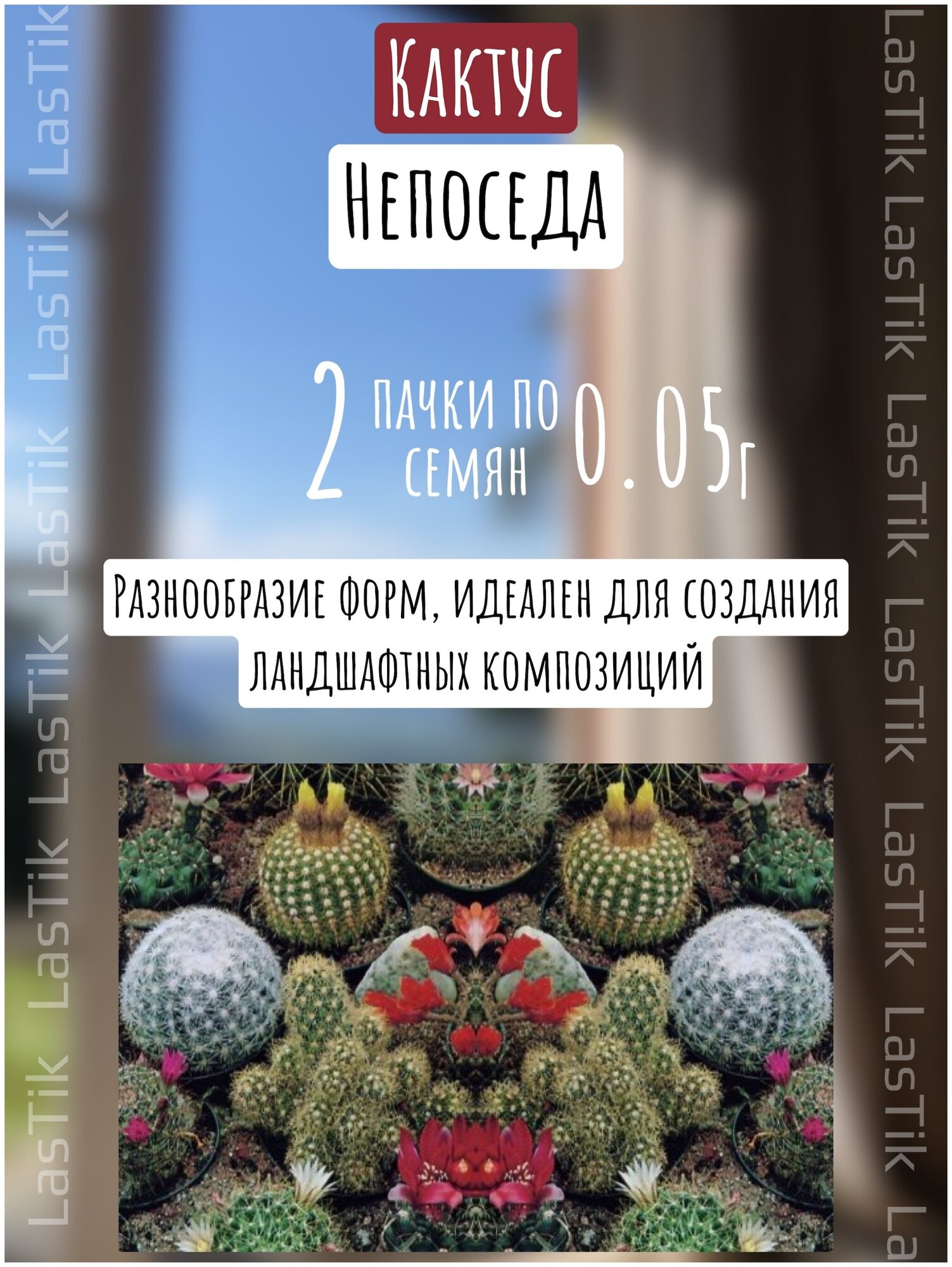 Цветы Кактус Непоседа смесь 2 пакета по 005г семян