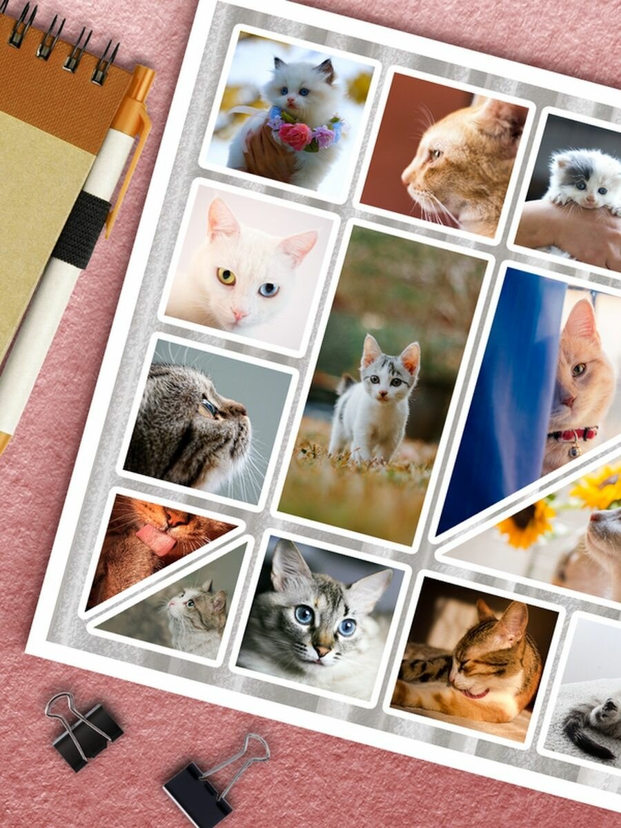 Наклейки Фото котиков Стикеры коты