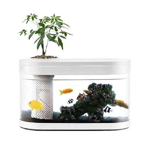 Умный Аквариум Descriptive Geometry C180 Smart Fish Tank PRO Standart Set - фотография № 18