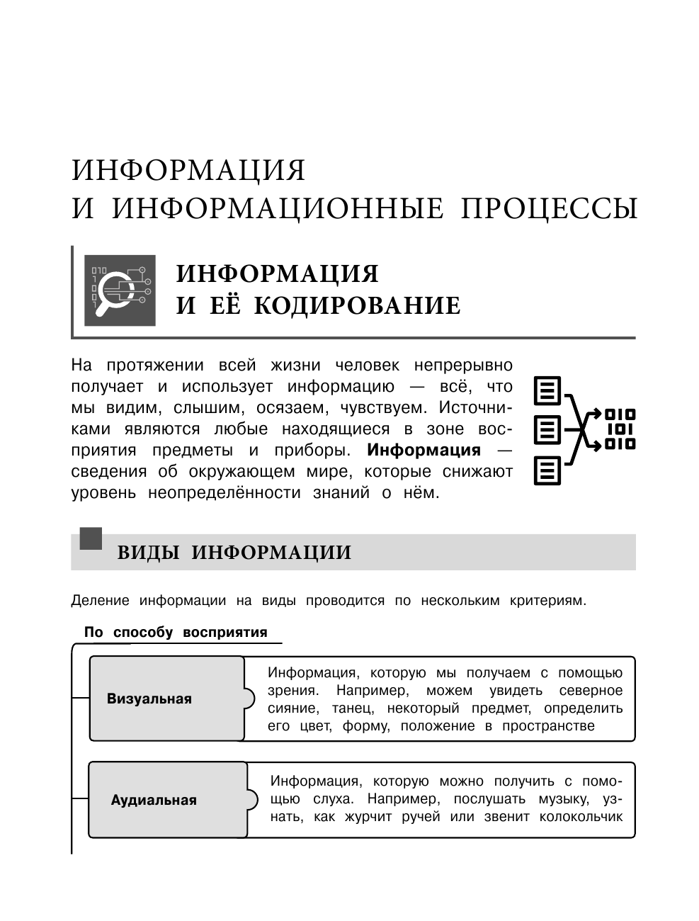 Информатика (Тимофеева Елена Викторовна) - фото №12