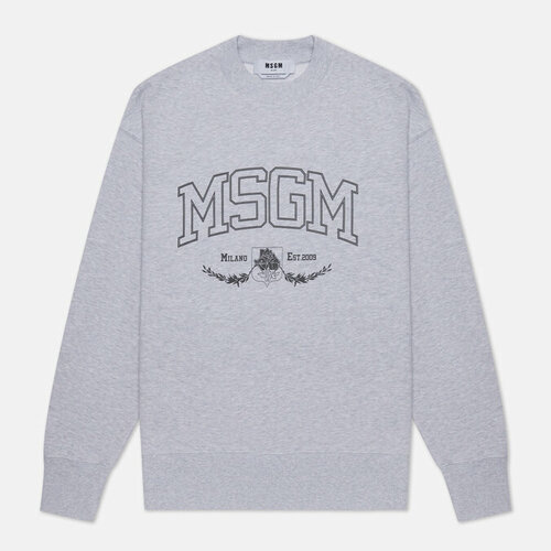 Толстовка MSGM, силуэт прямой, размер S, серый