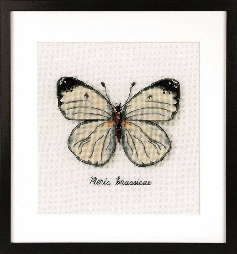 Белая бабочка #PN-0165233 Vervaco Набор для вышивания 16 x 14 см Счетный крест