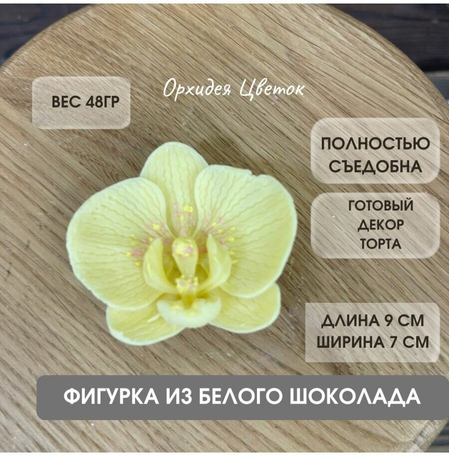 Цветок из шоколада. Орхидея. Цвет Белый. - фотография № 1