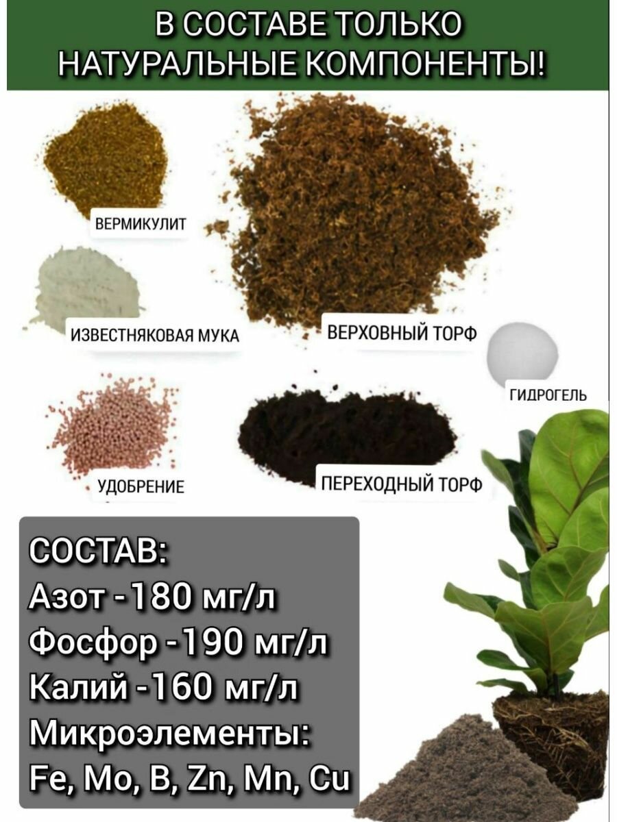 Почвобрикет БиоМастер (торф фасованный) Герань 2,5л, 2 шт - фотография № 13