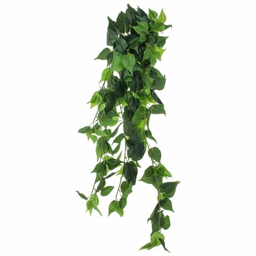 Растение искусственное Фиттония, 300 листьев, 80 см