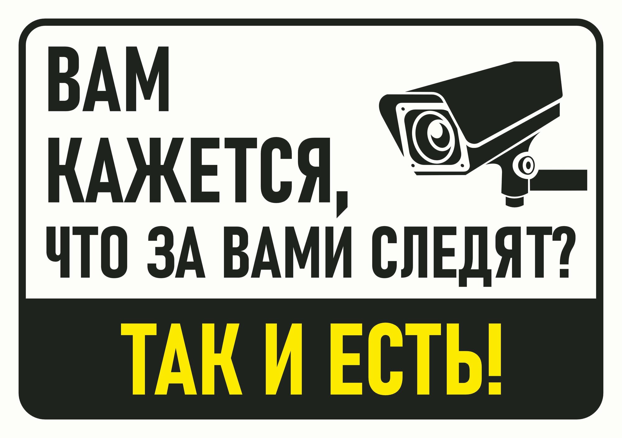 Прикольная табличка "Вам кажется, что за вами следят? Так и есть!" А4 (30х21см)