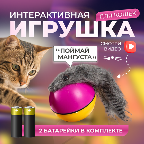 Игрушка дразнилка для кошек и собак, автоматическая, 